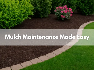 Freshly maintained garden mulch bed